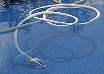 Palm Harbor Weekly Pool Service